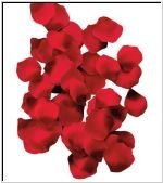 petales de rose