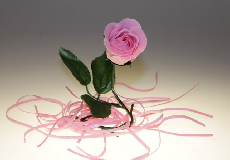 rose de bain